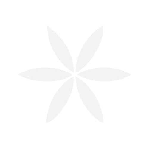 cymbatex_30_mg_1__r4izqdmw3z5mkako-removebg-preview